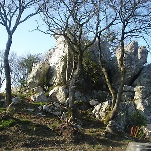 Le Rocher Du Samoyede Gasthuis Dirinon